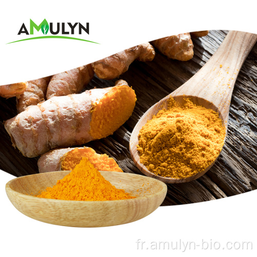 Curcumine extrait de curcuma hydrosoluble 5% 10%